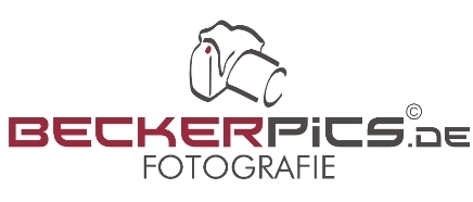 LOGO-WP-3
